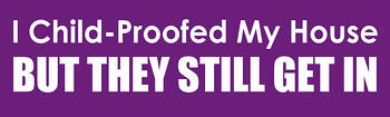 i child proofed my house but they still get in