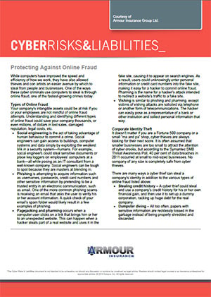 protecting  against online fraud