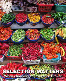 selection-matters-insurance