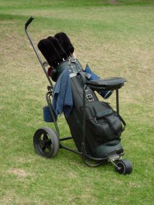 493888 golf bag and buggy