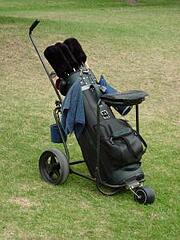 493888 golf bag and buggy
