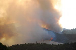 Forest Fires Cost Millions in Insured Losses