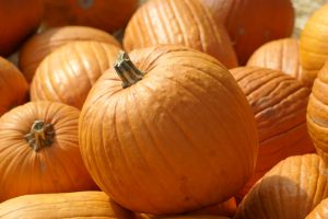 pumpkins-1089296-m