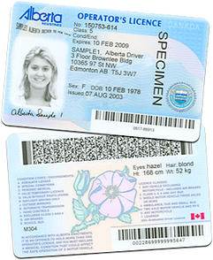 Demerit points alberta insurance