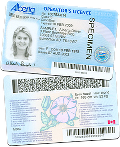 specimen_driving_license_alberta