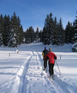 cross country skiing in mont tendre 930964 m