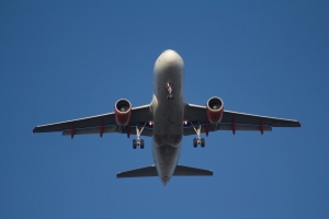 Travel Insurance
