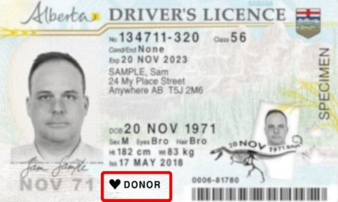 Alberta Drivers Licence Donor Badge