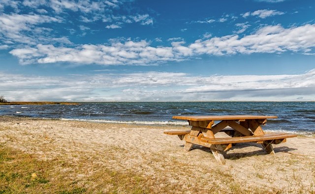buffalo lake
